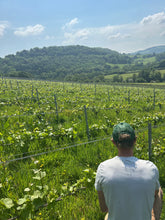 Load image into Gallery viewer, An Evening with David Morris, Gwin Pobl y Mynydd | Mountain People Wines
