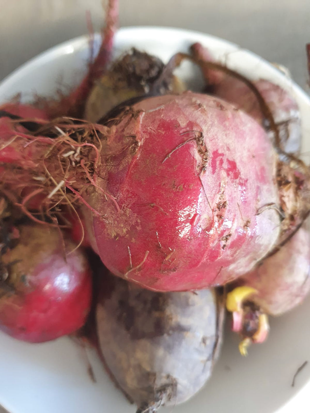Beetroot/ bunches and cooked