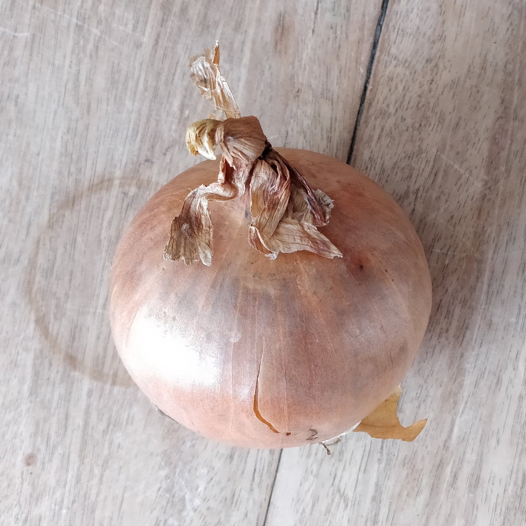 Blaencamel Onions